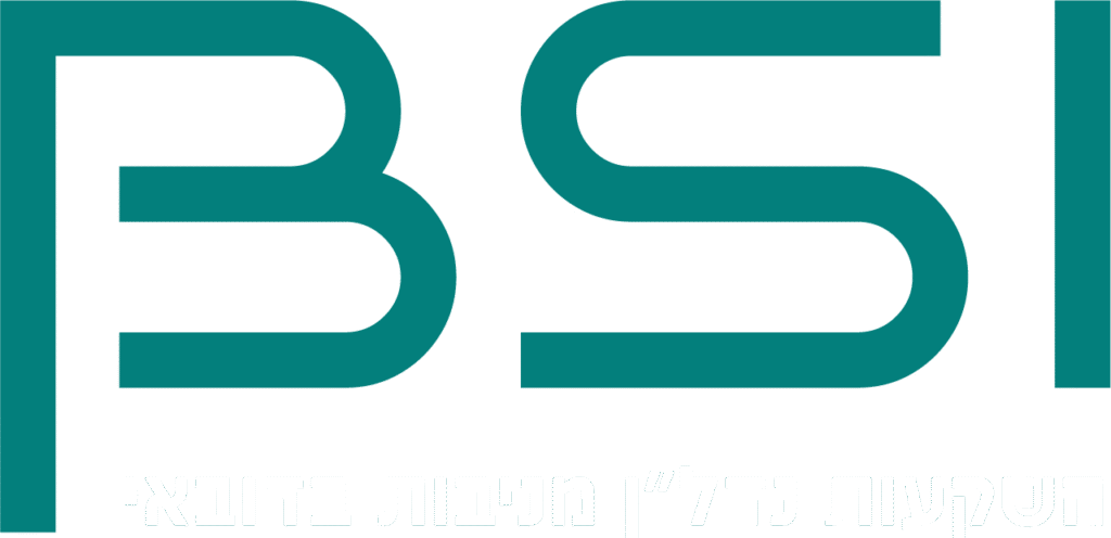 לוגו משני